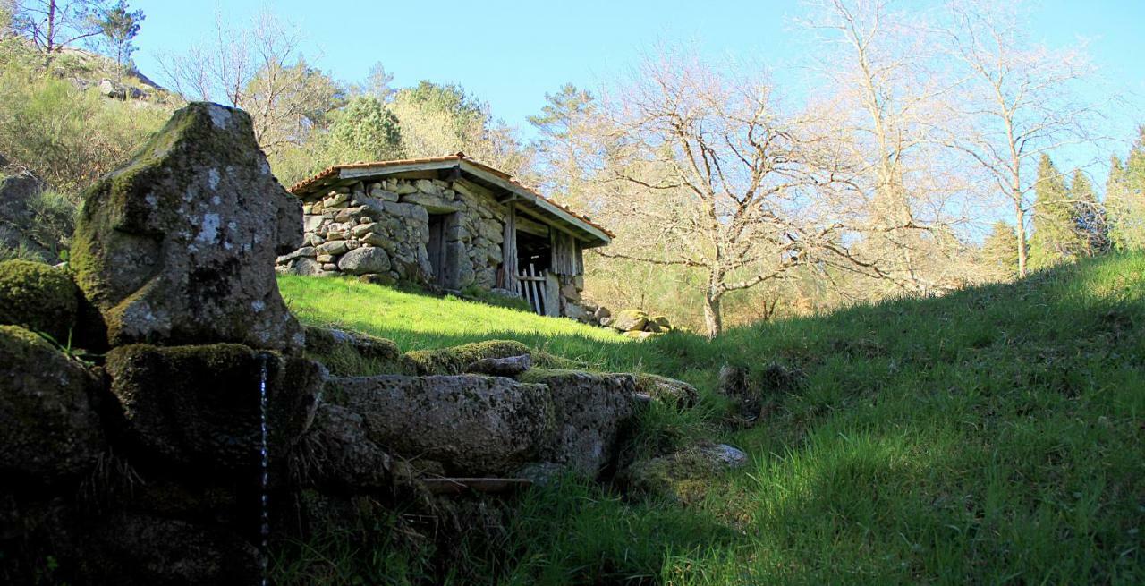 Bungalow Da Nina Vila Gerês Exterior foto